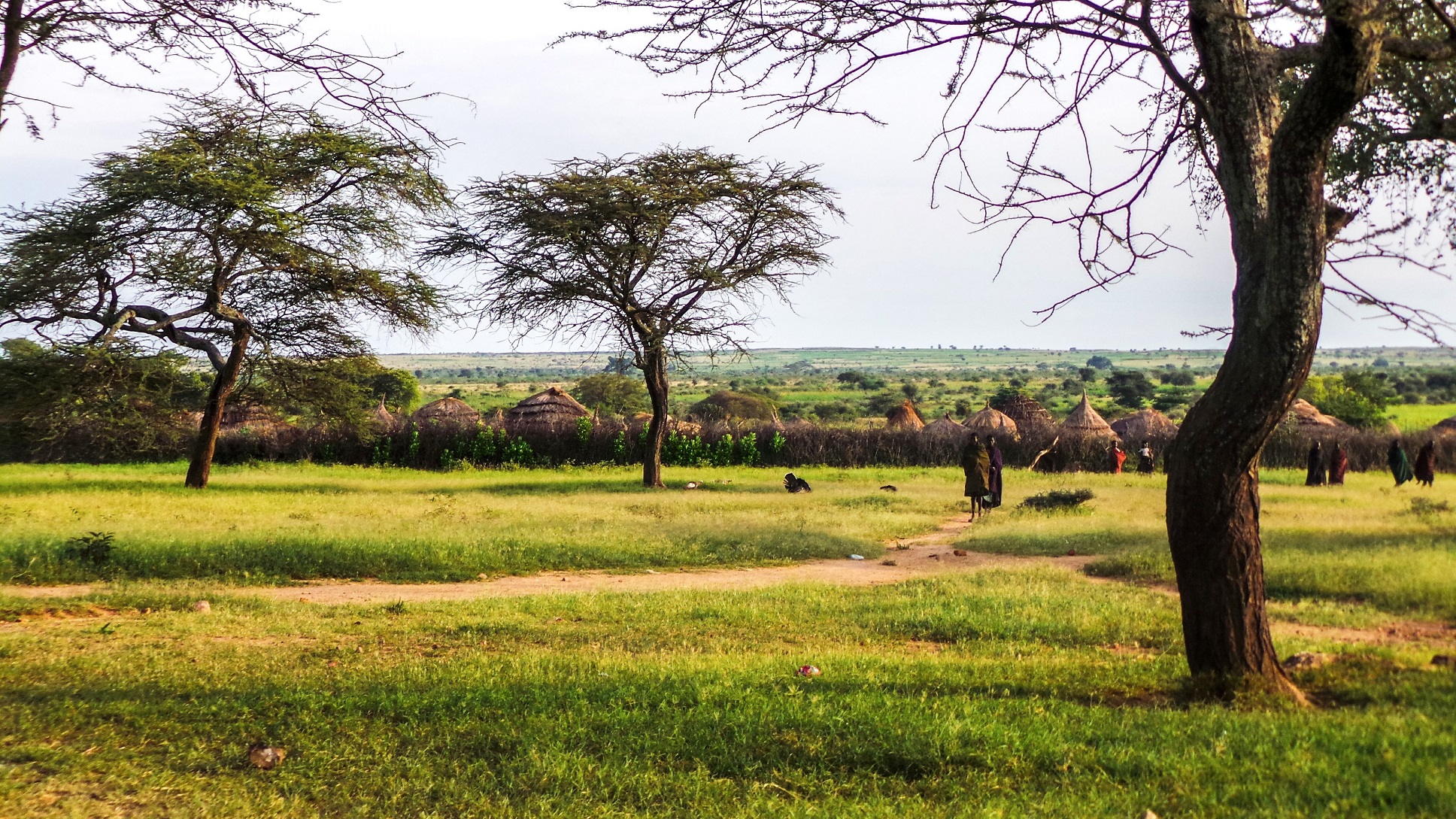 La meraviglia africana di ElisaLorenzoni