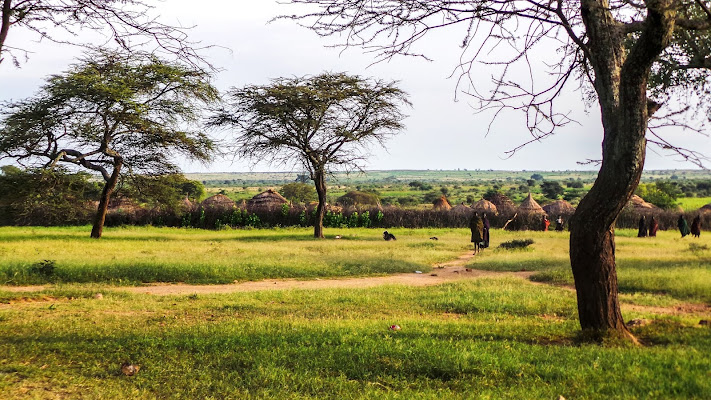 La meraviglia africana di ElisaLorenzoni