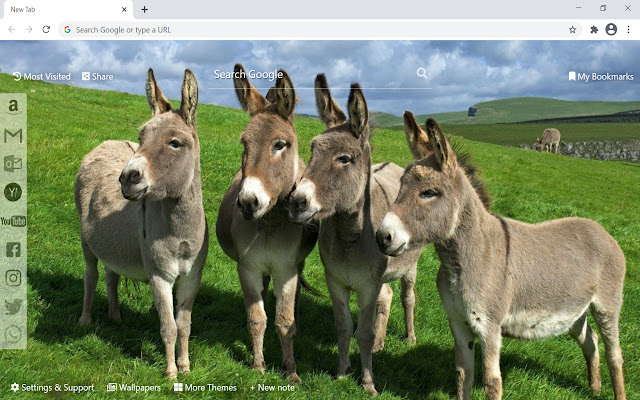 Donkey Wallpaper