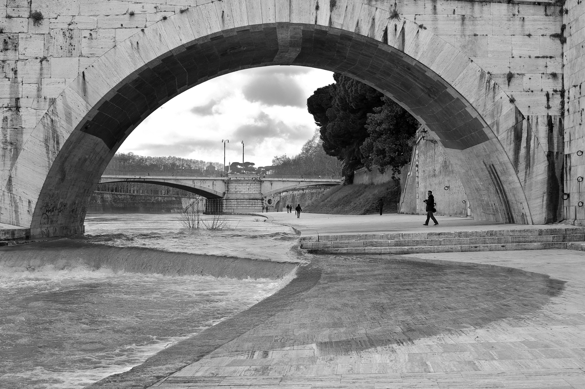 Curve lungo il Tevere. di anto70