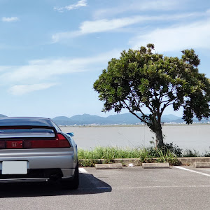 NSX NA1