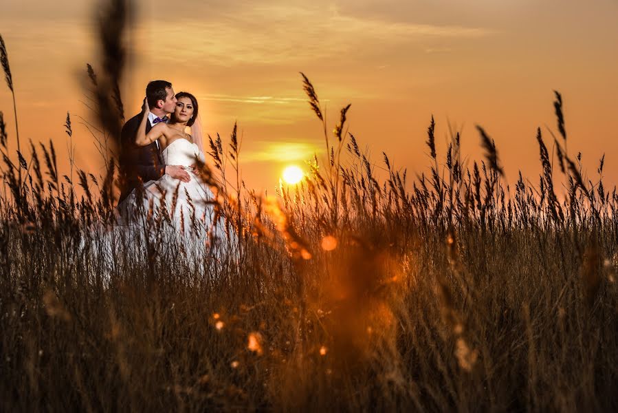 Wedding photographer Alin Panaite (panaite). Photo of 20 February 2016