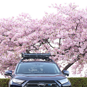 RAV4 MXAA52