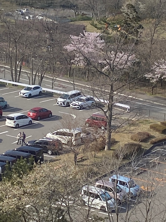3シリーズ ツーリングの3シリーズツーリング・G21・BBS LM・大森山動物・グリルシャッターに関するカスタム事例の投稿画像2枚目