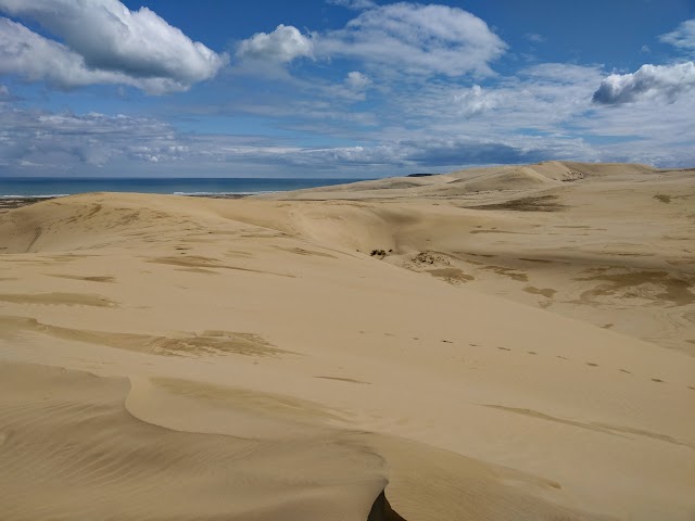 Te Paki Giant Sand Dunes Far North Northland