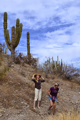 Мексика. И станут направления дорогами.