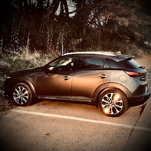 CX-3 DKEFW