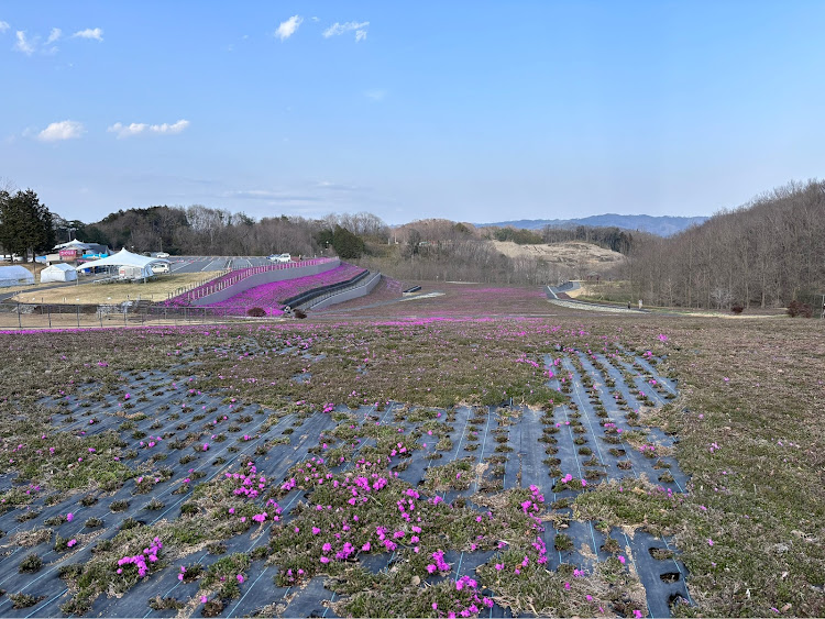 の投稿画像3枚目