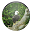 Bald Eagle Wallpaper Download on Windows