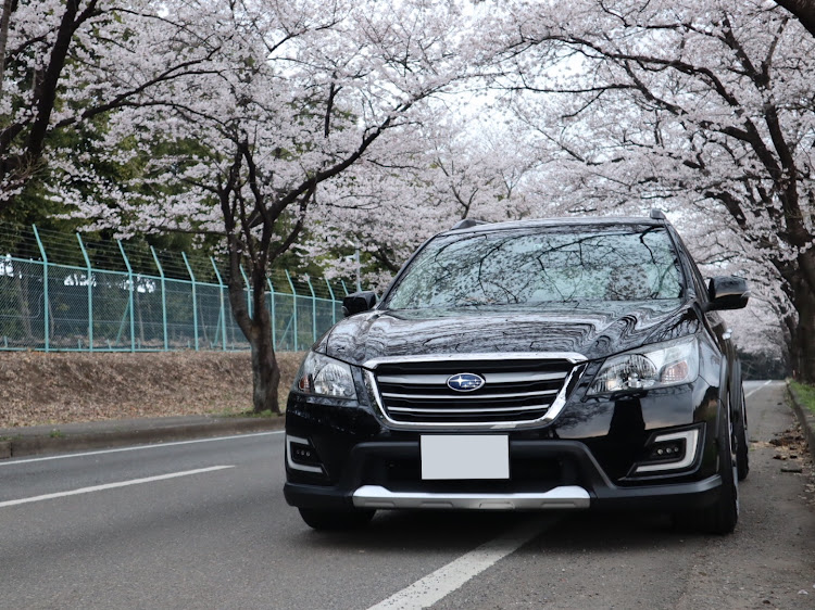 エクシーガ クロスオーバー7の桜と愛車・桜とコラボ・スバル車・久しぶりに投稿に関するカスタム事例の投稿画像4枚目