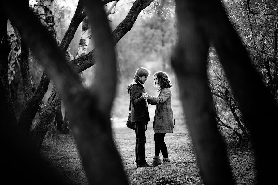 Fotógrafo de casamento Denis Anurev (ideapix). Foto de 29 de dezembro 2013