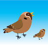 Bird Rescue - a little bird icon