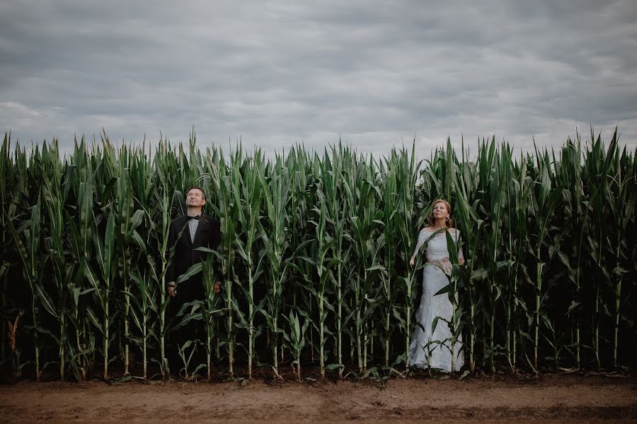 婚禮攝影師Matej Paluh（macpaluch）。2019 8月6日的照片
