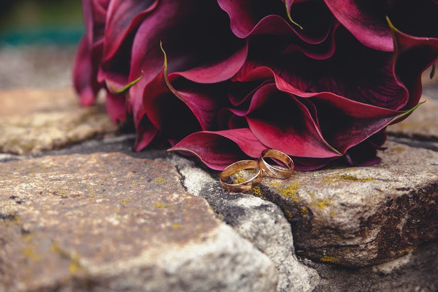 Fotografo di matrimoni Denis Ganenko (finix). Foto del 20 settembre 2015