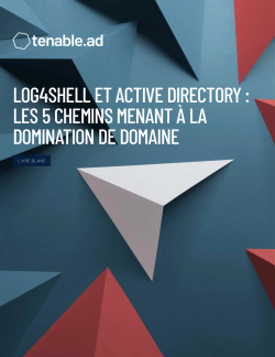 Log4Shell et Active Directory : les 5 chemins menant à la domination de domaine