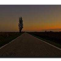 In mezzo alla strada,fino in fondo alla strada...  di 