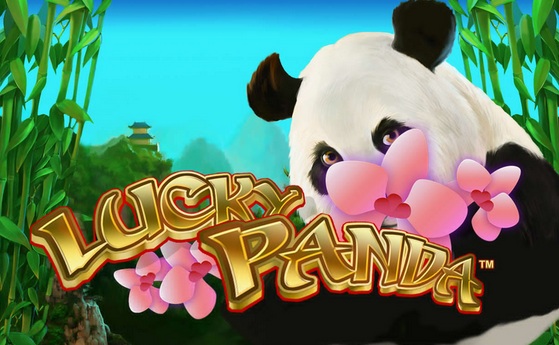 Lucky Panda Slots.jpg