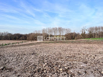 terrain à Champagne (17)