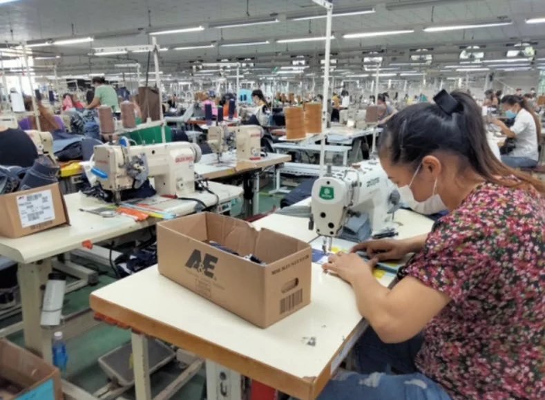 Áp lực chuyển đổi số và phát triển kinh tế tuần hoàn trong ngành Dệt May
