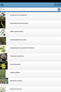   Medicinal herbs- screenshot thumbnail   