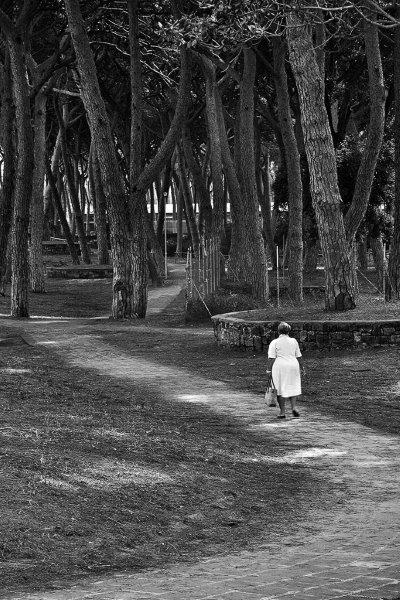 Passeggiate di stefanogaleotti