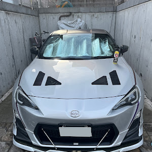86 ZN6