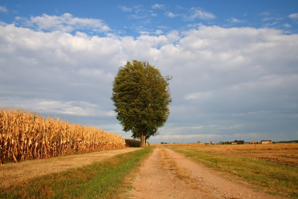 Aperta campagna di Fotocop