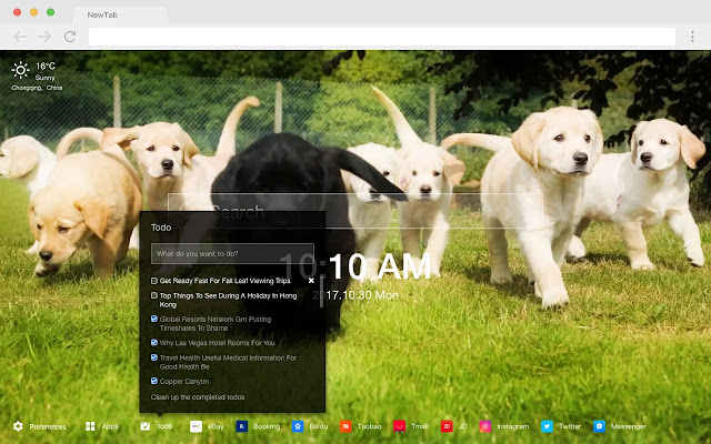 Labrador Retriever New Tabs HD Pets Themes