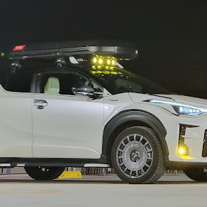 C-HR ZYX11