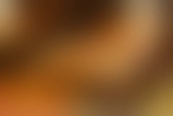 ENTPがESTPとISTPにお持ち帰りレイプされる話
