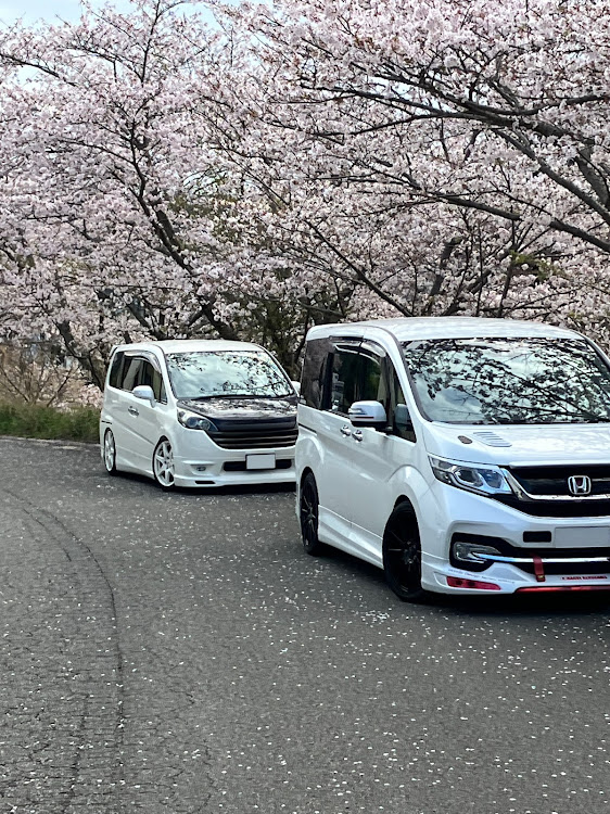 ステップワゴンのステップワゴンRP・見納め桜ツアー・見納め間近…・見納めコラボ・見納めなのかな？に関するカスタム事例の投稿画像3枚目