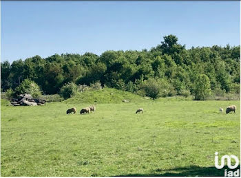 propriété à Mazion (33)