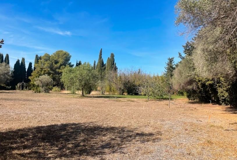  Vente Terrain + Maison - Terrain : 510m² - Maison : 110m² à Sanary-sur-Mer (83110) 