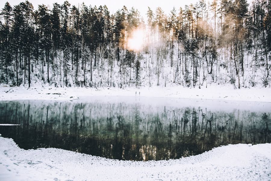 Bröllopsfotograf Anton Sivov (antonsivov). Foto av 24 januari 2016