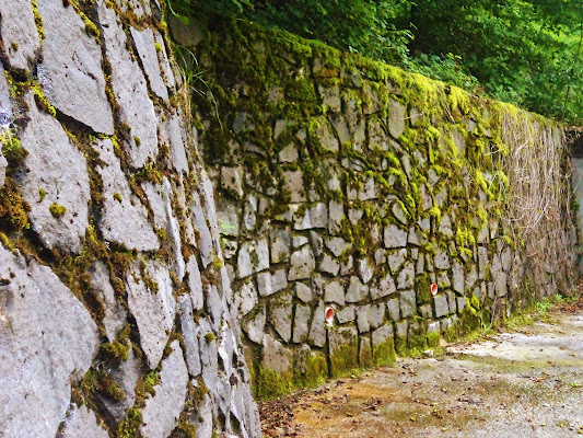 Mosaico nella natura di Isikku