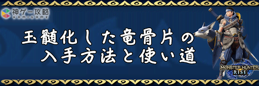 玉髄化した竜骨片