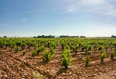 Vineyard with outbuildings 3