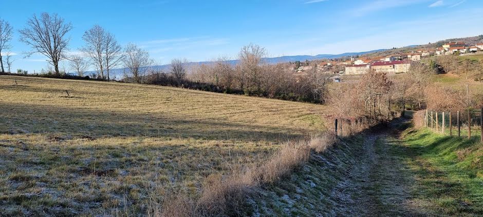 Vente terrain  1245 m² à Montchal (42360), 62 500 €