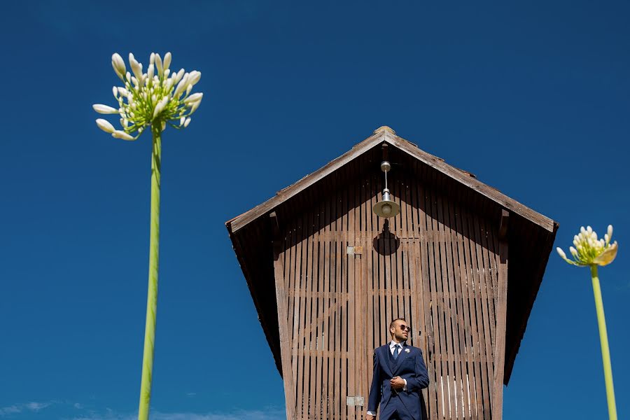 Fotógrafo de casamento Fernando Pinto (fernandopinto). Foto de 23 de janeiro 2018