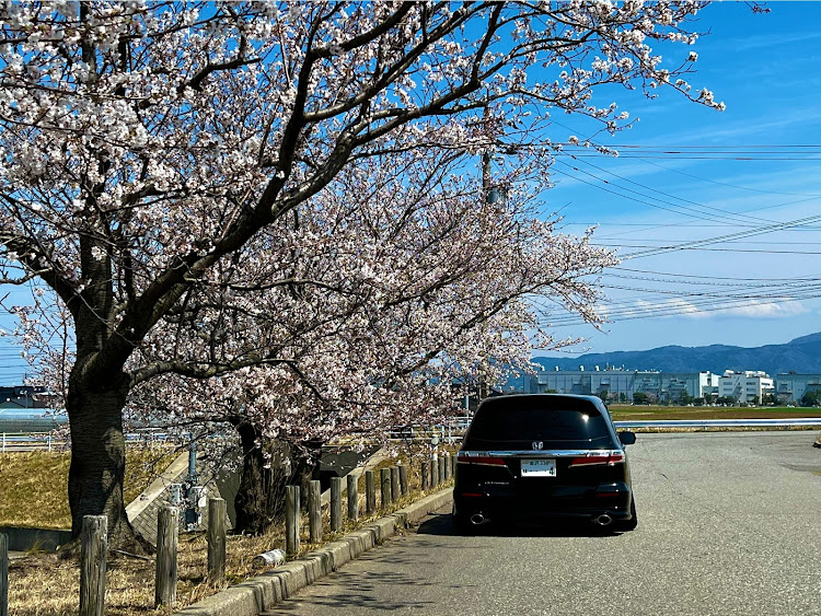 の投稿画像4枚目