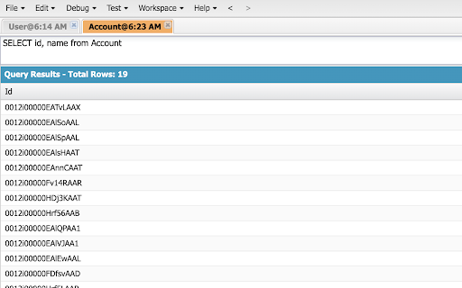 Open Salesforce Developer Console