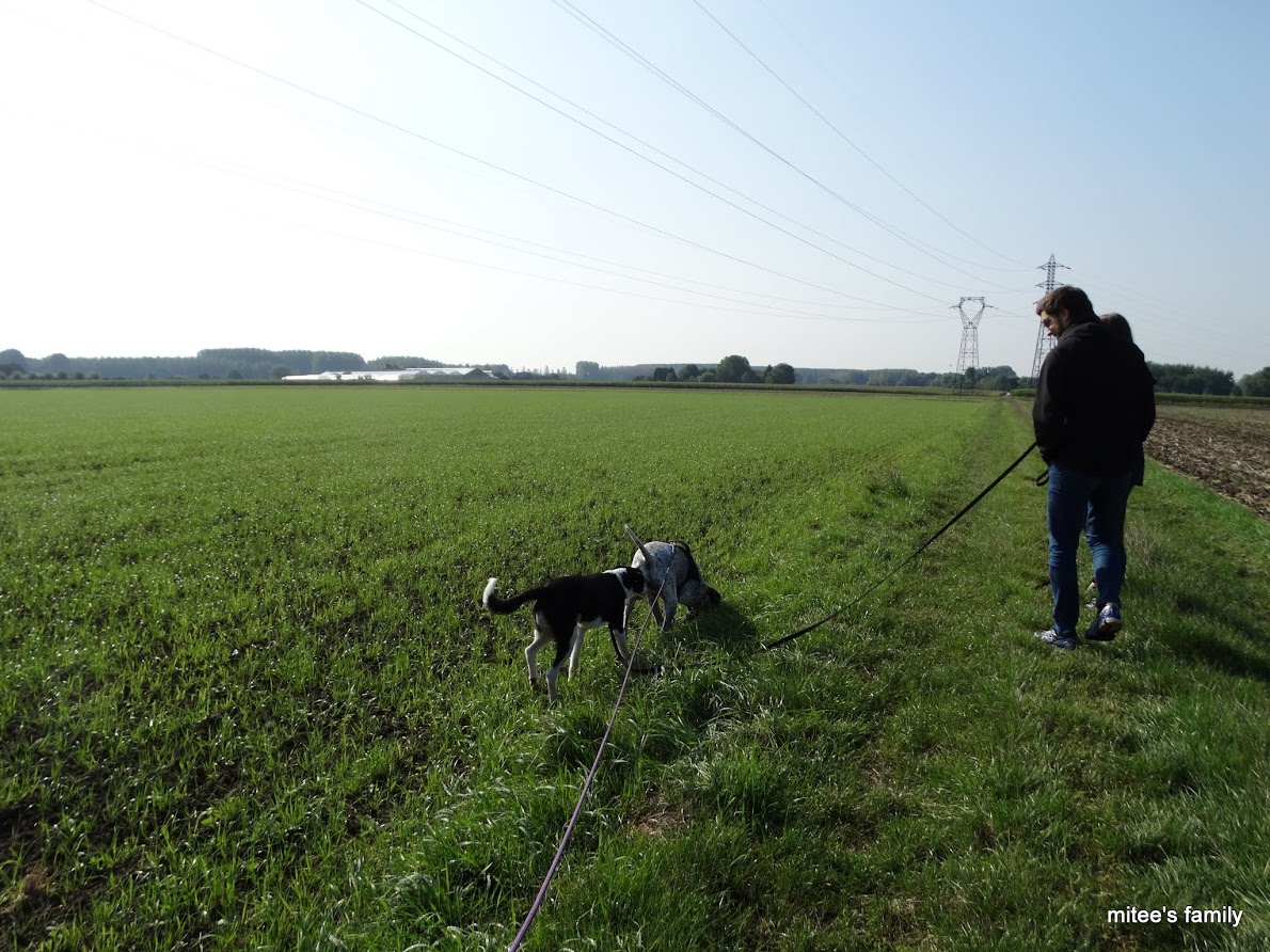  - Neva, jeune border collie ADOPTÉE   - Page 2 ADwbDHtFZQO8gWmLiUFvaeWonDA1ctCQ05qvjZ9Trcn_R0YxNBwmD7ISFEghfI-8OPp69ETRo4pXXfPnxF9kXDjTcJApgynVSPvbCzn-Rvf1broxeSAPFpQiintRJrILrYtcjHFMsXi8jkQOp62TyxJaIvRSchYO6yNufxw29YowUy_bj7IxBRogtzxcJ2ll0JfoJIaES0hN8iF0KvAd6pM-7xtG1lB5W-l0LVKAAfZ5FkasXbl9GTCjMDELTzXhypNuKs2aKgF89ozD36Widr5FHXYGKK-2JRRbecI81TffIc0_LvnGke7gMxunNeVNQGQtrzO3qdrpichwPxHSoPUY9ESE67tHEjjU7qhkrXXika1umD_nzKw5W2n3n-lOt0oVleiXrIxcrIYwSI7JpASdMN41MGp1D6_ix2mSEiHyFRBZW4HCgd7FTZihsftJprdv9Th1XypJcO4mtcQwO4IqMQZSt9_Zvu7fkgRvDRgH6wNc-m9x5f8HQRqVSCuZ04qul2qZrp1frsbSeRynvVFeyRnsVmnwfuylj8Ql-7T9zZH-3KzjUqfUz6GUlKattmDFQ9L5yEsa17XLyuAgharvyD6avMwjKx52yT0s9lw=w1190-h892-no?pageId=102314735241138359955