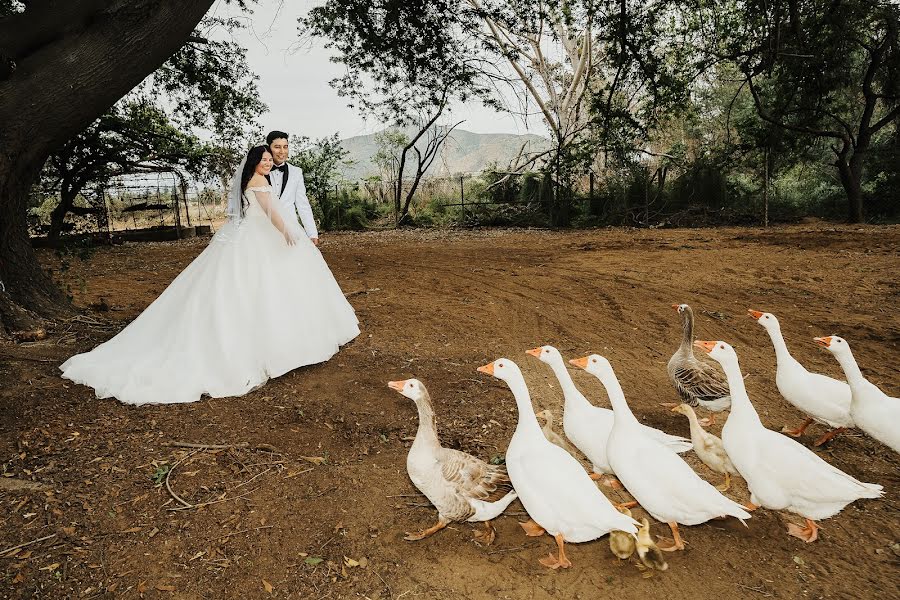 Düğün fotoğrafçısı Cinthia Flores (cinthiaflores). 25 Kasım 2023 fotoları