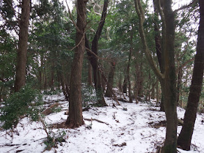 山頂へ登る