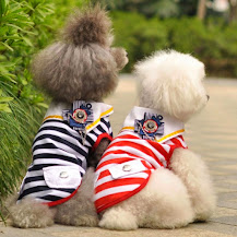 Quần áo cho chó mèo nhập khẩu kute giá tốt. Call ngay!!!!! - 2