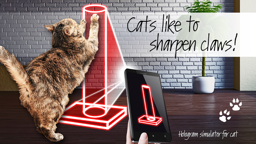 Hologram simulator for cat Screen 3