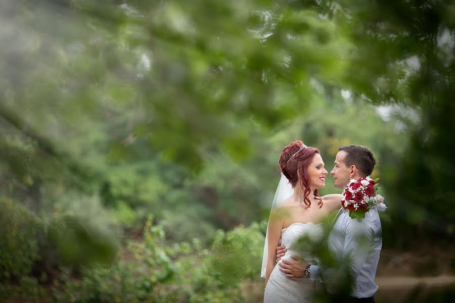 Photographe de mariage Igor Sljivancanin (igorsljivancani). Photo du 21 novembre 2016