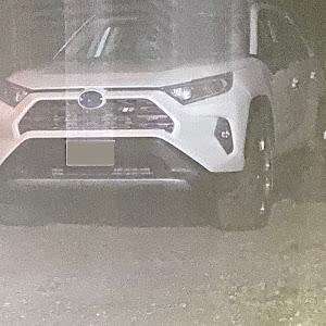 RAV4 MXAA54