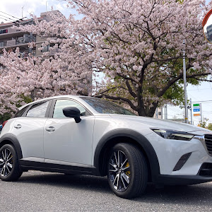 CX-3 DK5FW