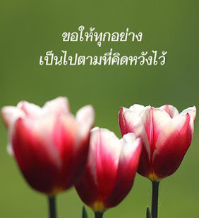 คําอวยพรนักกีฬา - náhled